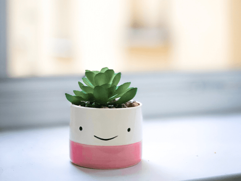 Happy pot plant - consolidate debts