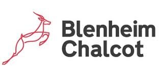 Blenheim Chalcot