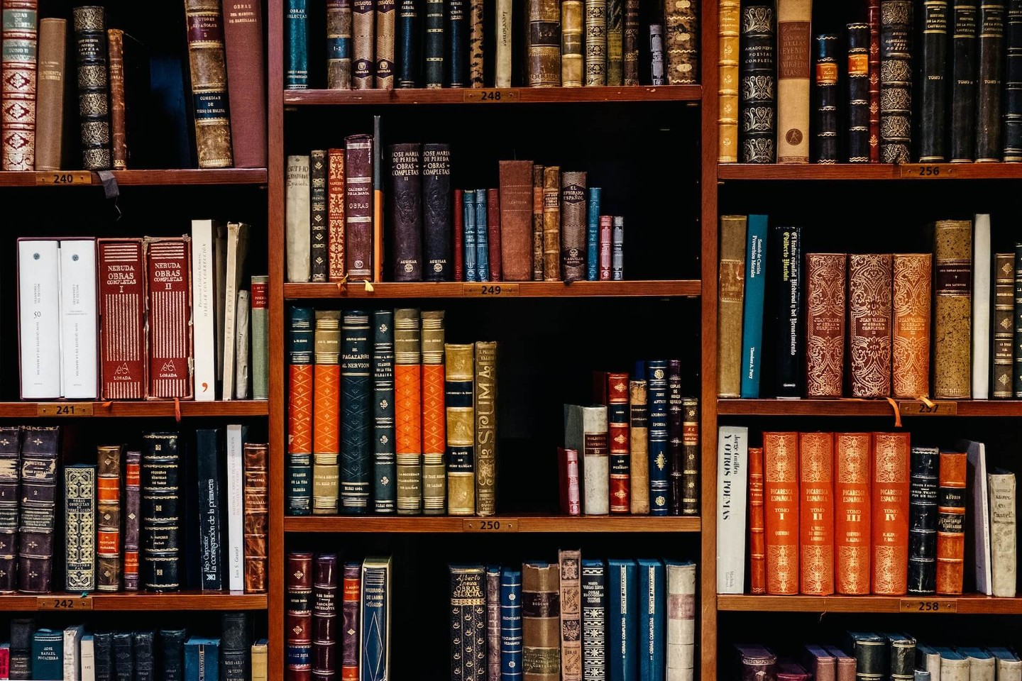 A number of books on a book shelf