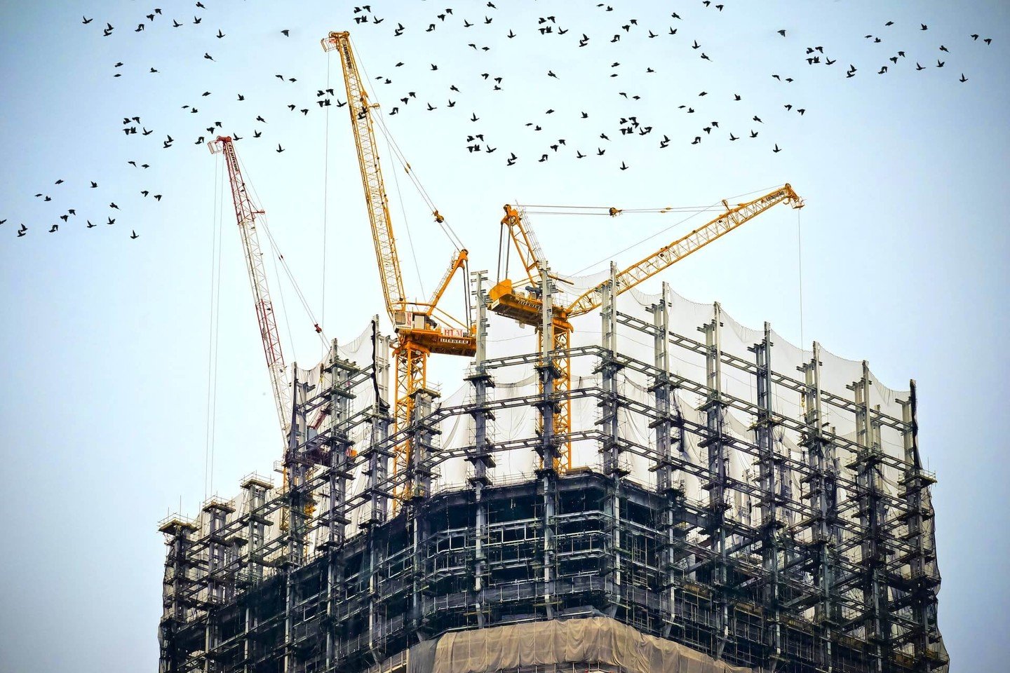 A large building being built