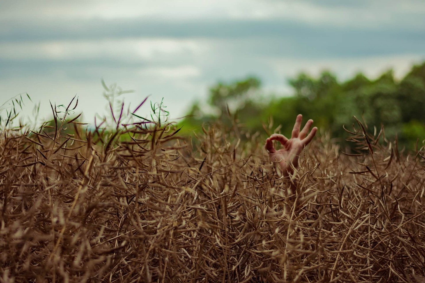 Person holding doing an 'Ok' symbol with their hand in a hedge