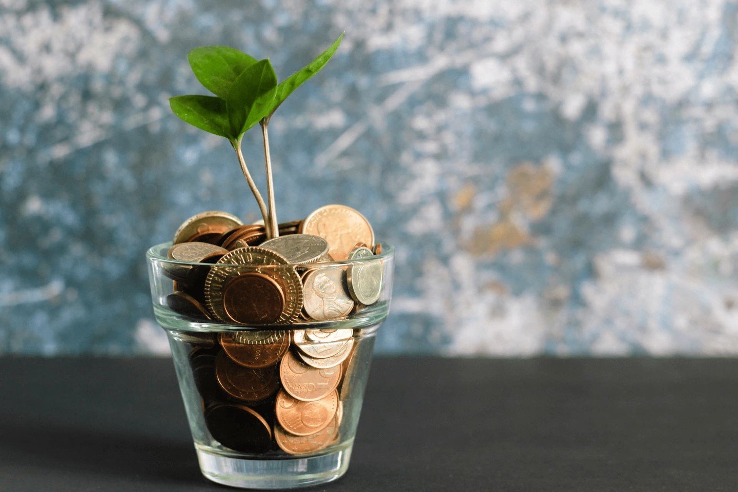 Coins in a plant pot Coins in a plant pot