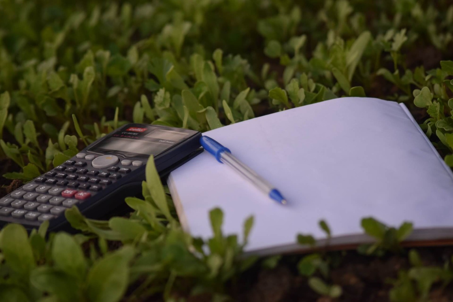 Calculator and notepad surrounded by leaves