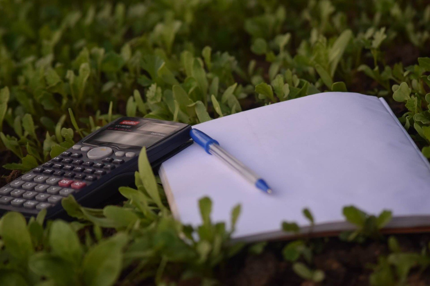 Debt consolidation calculator
