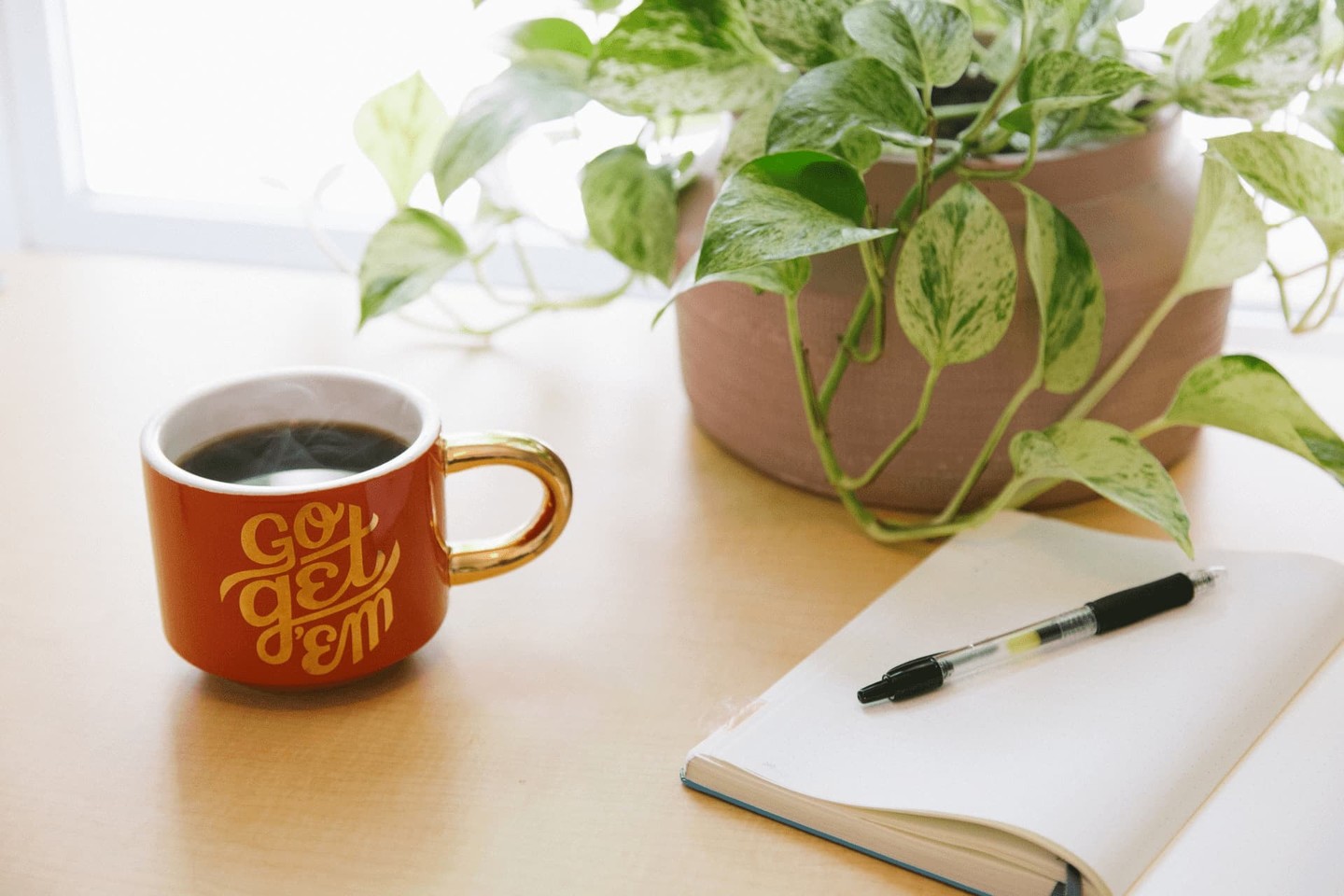Go get 'em mug and plant and notebook Go get 'em mug and plant and notebook