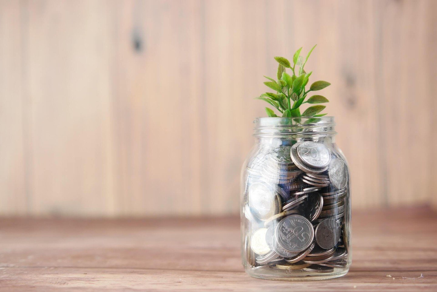 Some coins in a jar with a plant growing out of it Some coins in a jar with a plant growing out of it