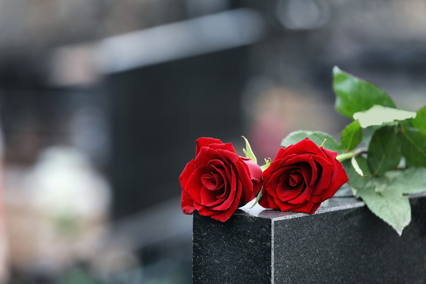 Rose on a tombstone