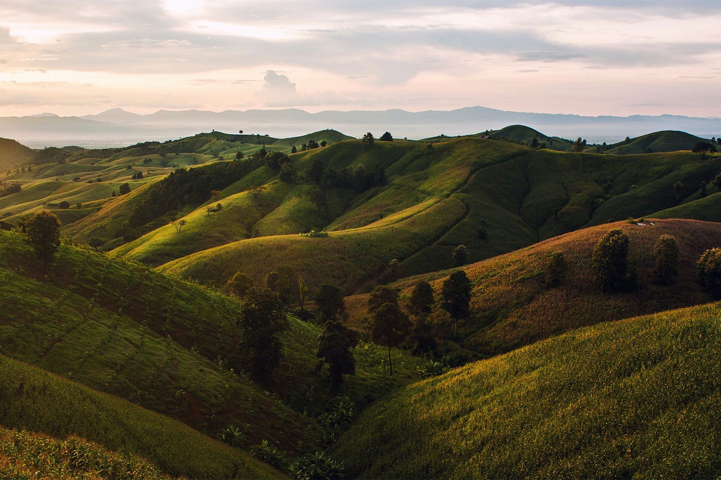 Beautiful green landscape Beautiful green landscape