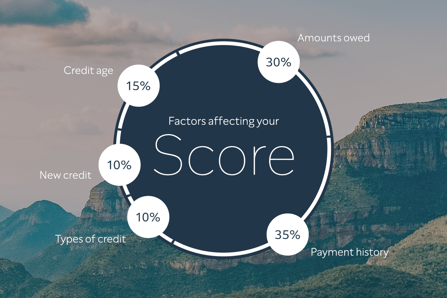 How is your credit score weighted?