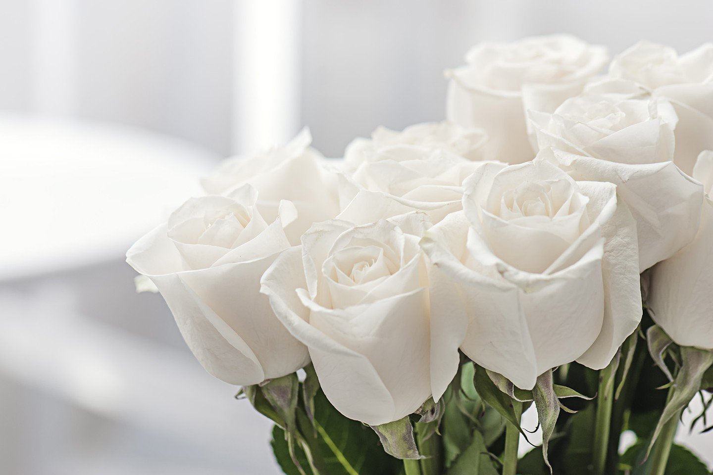 Funeral white flowers 